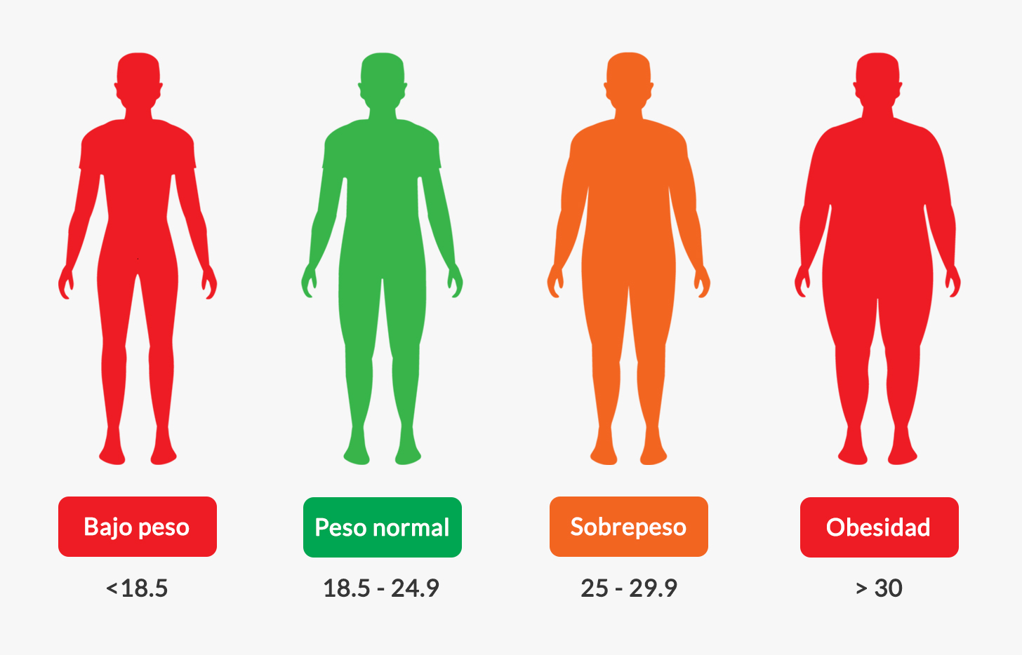 Contorno corporal según el Índice de masa corporal